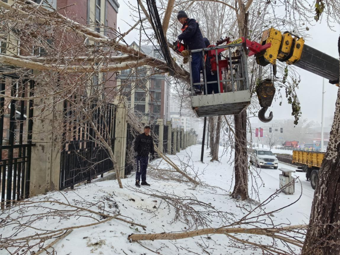 黑龙江联通:党员冲在前 坚守通信“生命线”_fororder_图片7