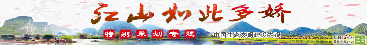 图片默认标题_fororder_banner