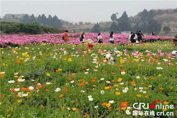 图片默认标题_fororder_2