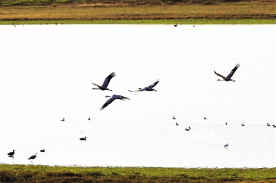南昌入选“中国十大旅游目的地必去城市” 南昌入选“中国十大旅游目的地必去城市”_fororder_rba1-231110b_b