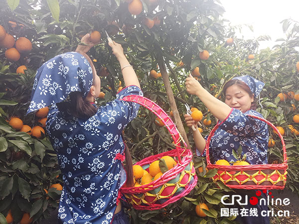 图片默认标题_fororder_1