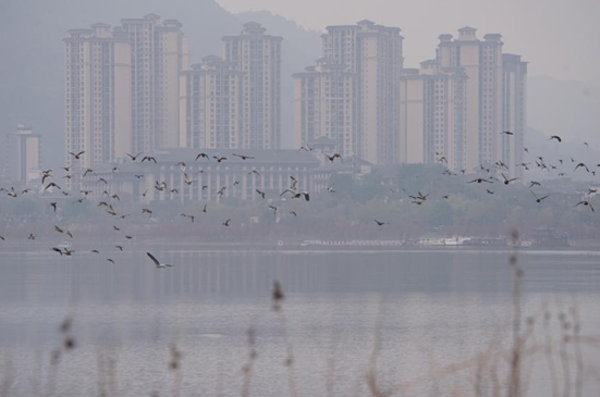 2023年“重庆湿地保护宣传周”宣传活动在开州区启动_fororder_微信图片_20231114141242