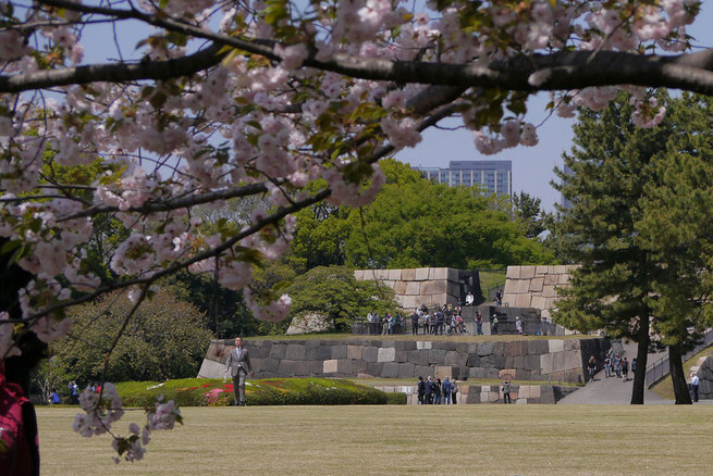 4月10日　皇居東御苑　淘気爺爺・奥田正彦さん
