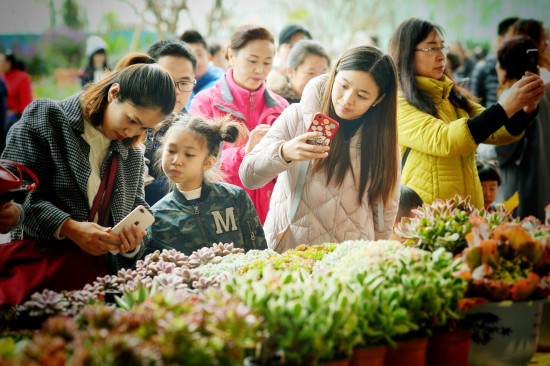 【CRI专稿 列表】第二届长江上游城市花卉艺术博览会即将在渝启幕【内容页标题】助力城市品质提升 第二届长江上游城市花卉艺术博览会即将在渝启幕
