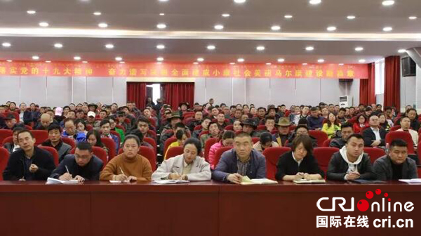 图片默认标题_fororder_会议现场3