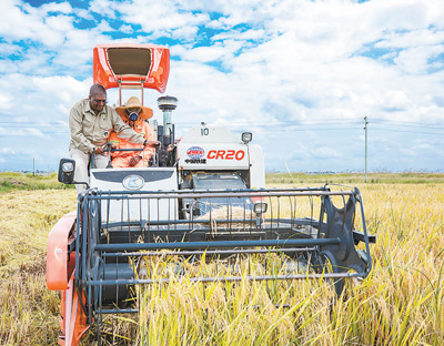 #人民日报#中非合作助力非洲早日实现“零饥饿”