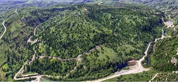 Jungar Banner: Fight against Desertification Yields Fruits_fororder_图片40