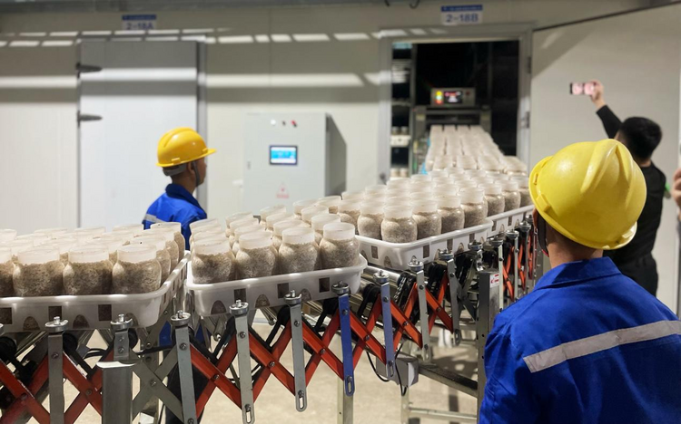 中国（广西）—东盟现代设施食用菌产业高质量发展大会在贵港举办_fororder_图片3
