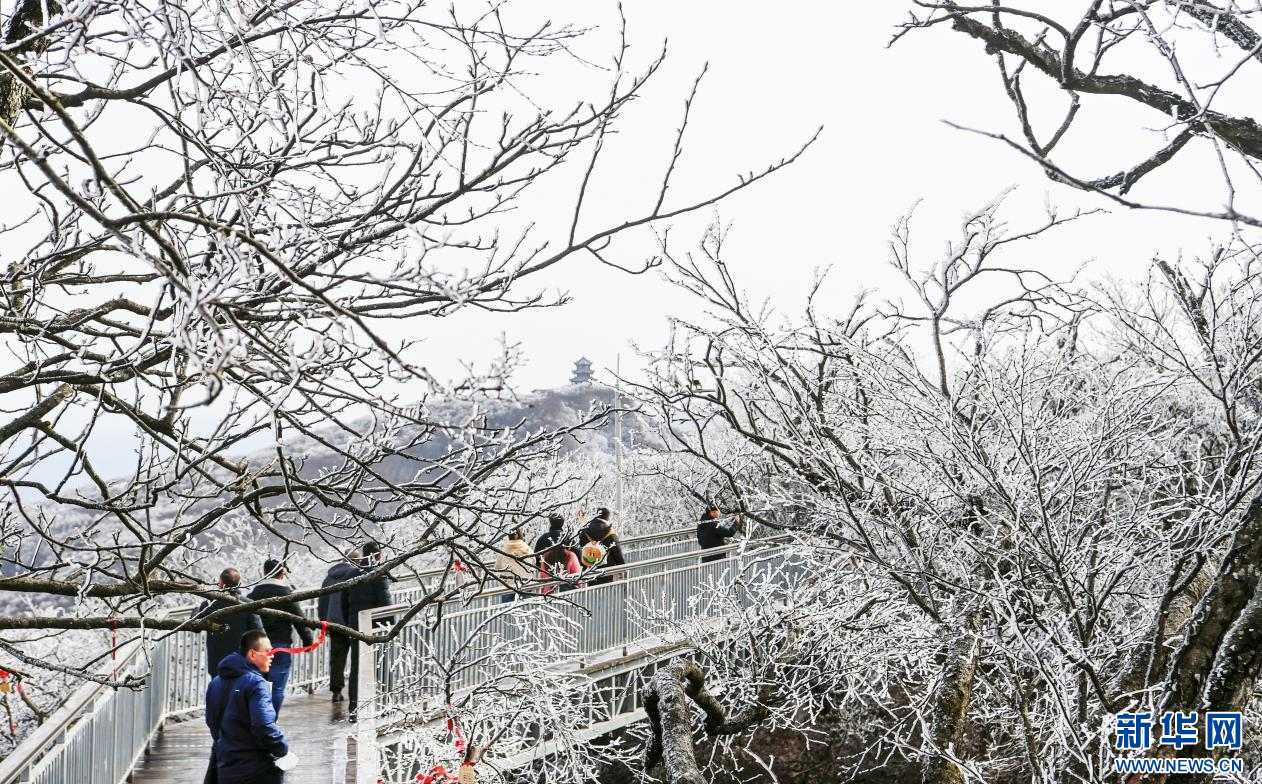 冰雪为墨 汉中龙头山景区银装素裹分外美丽