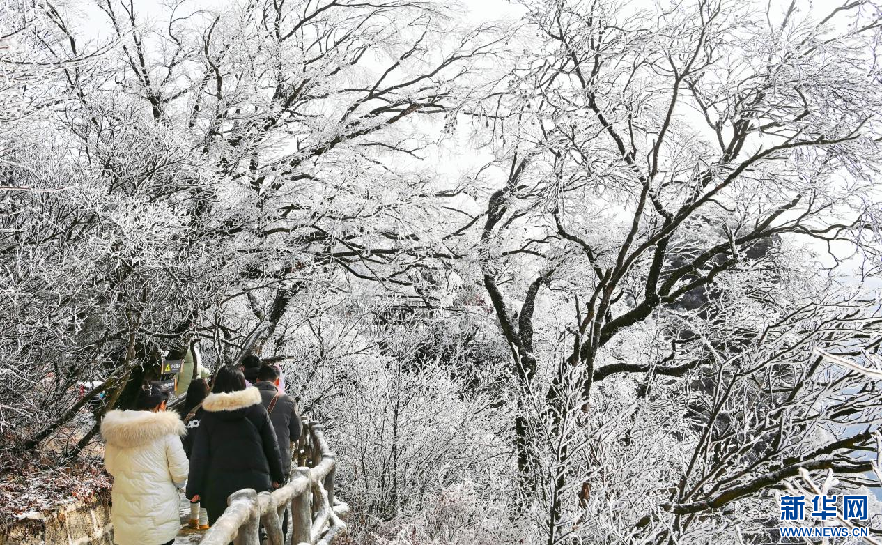 冰雪为墨 汉中龙头山景区银装素裹分外美丽