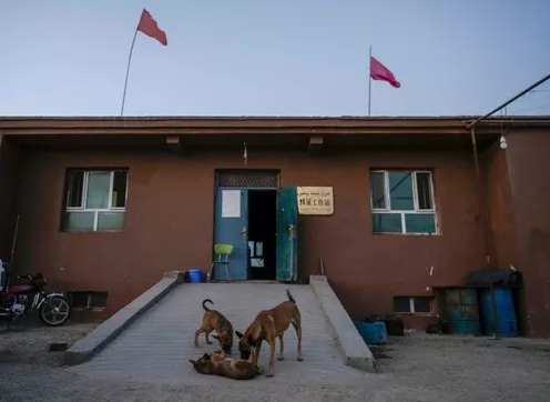 [新华每日电讯]大漠深处四个“文保男”的荒野生活