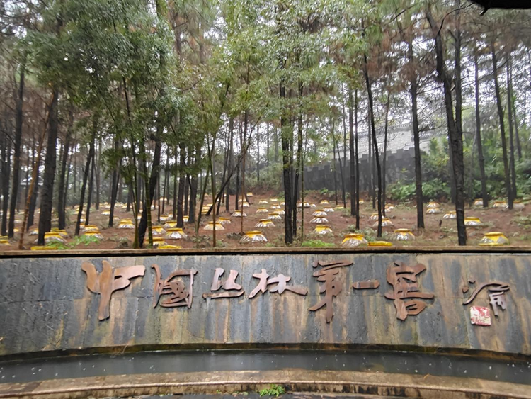 【非遗传承看宜春】宜春上高县:在传承中激活多彩非遗_fororder_图片3
