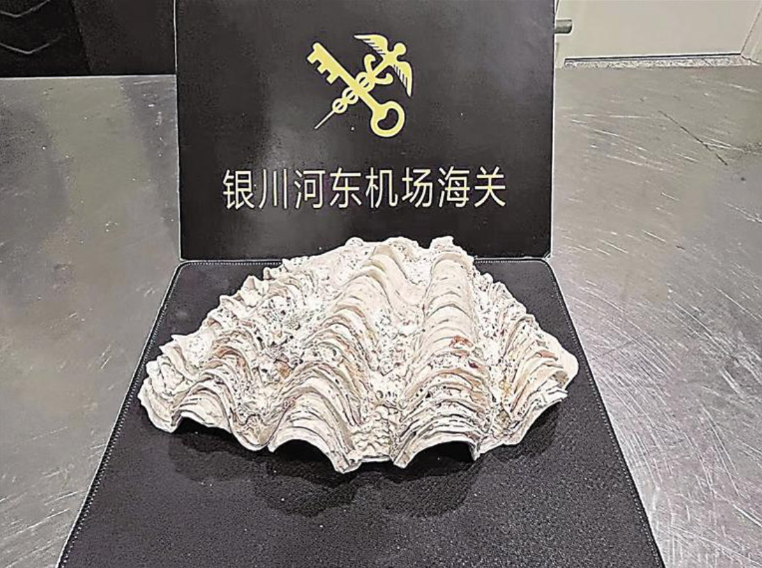 图片默认标题_fororder_截屏2023-11-28 14.53.06