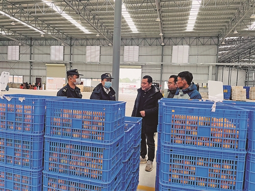 桂品借力开拓海外市场 广西冬季水果出口马来西亚
