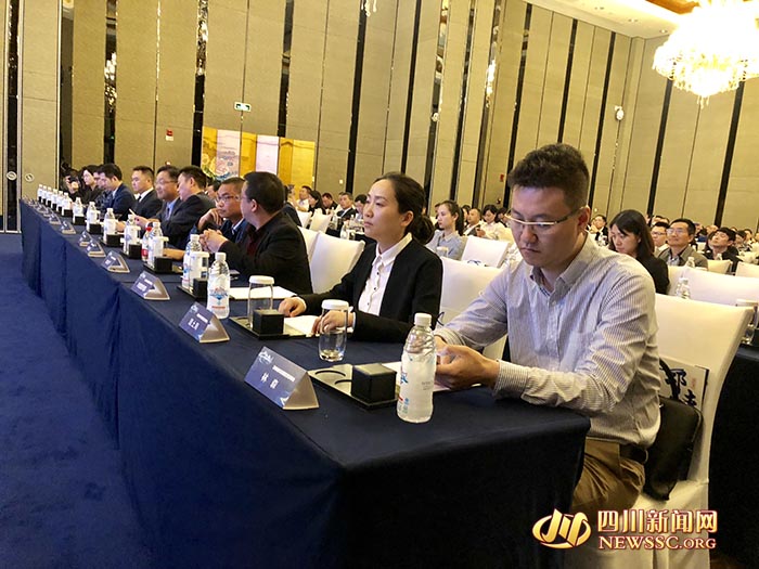 （导航成都，移动端）机遇城市新样本 邛崃824亩优质地块集中亮相