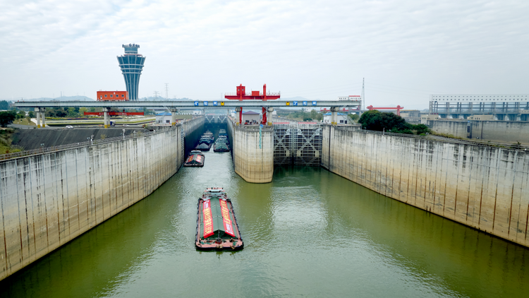 年过货量超1.8亿吨 广西长洲船闸问鼎全国天然河流过货量最大船闸_fororder_图片1