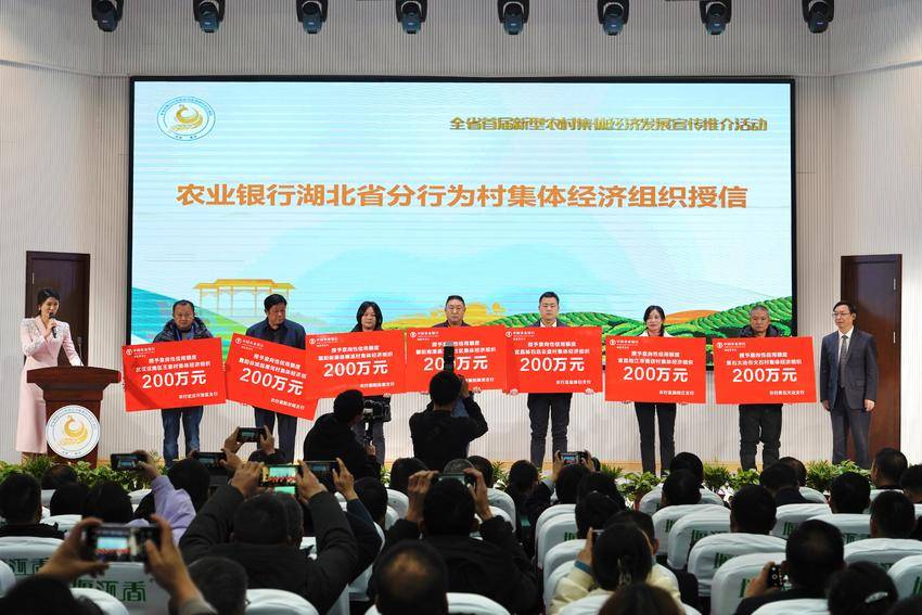 湖北省首届新型农村集体经济发展宣传推介活动在谷城举行 21个村、社区入选新型农村集体经济发展典型案例