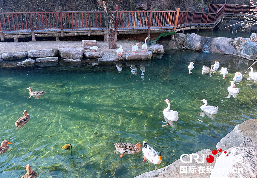 江山如画|云丘山冰洞群 领略大自然的鬼斧神工_fororder_02