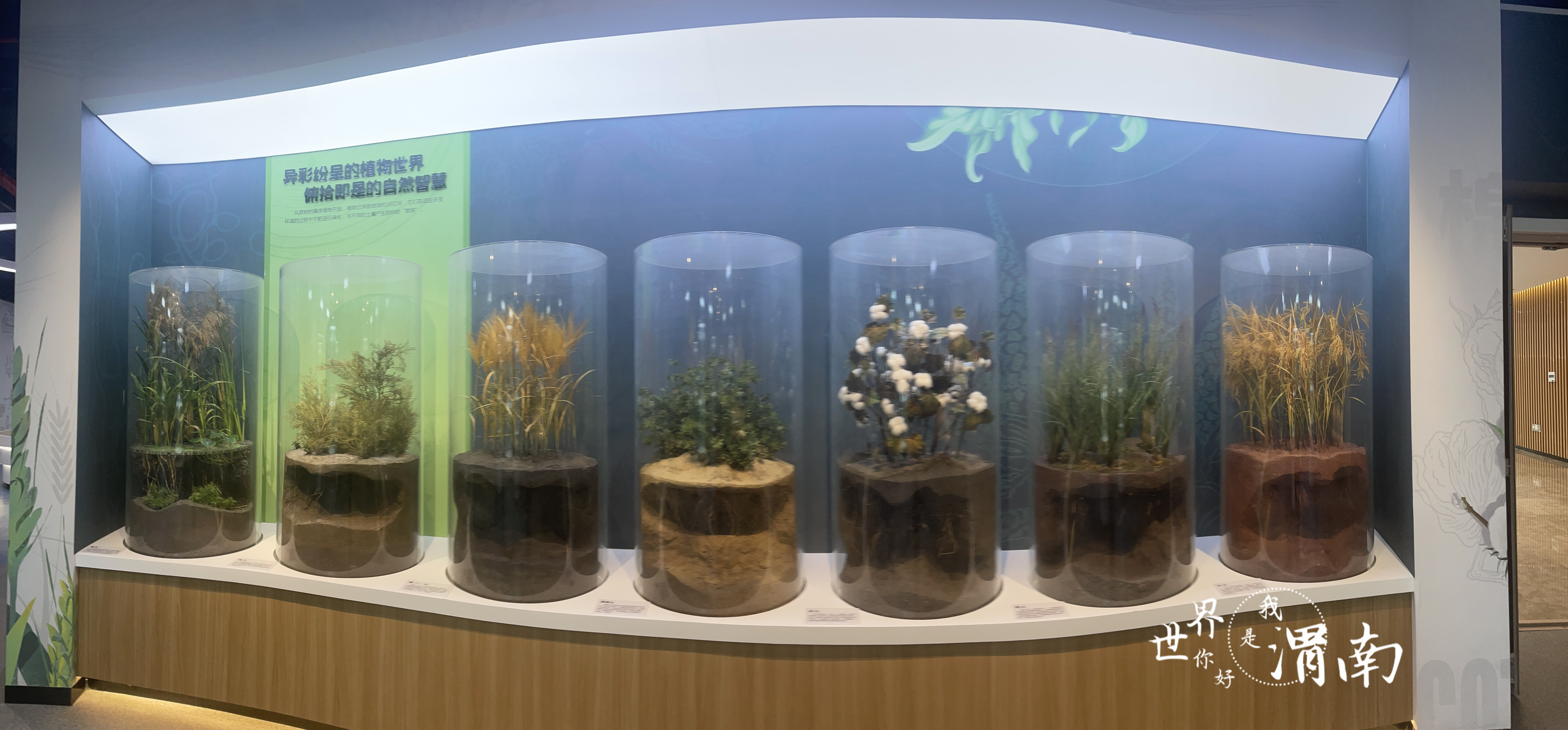 图集|博物馆里瞰渭南①_fororder_微信图片_20231130171012