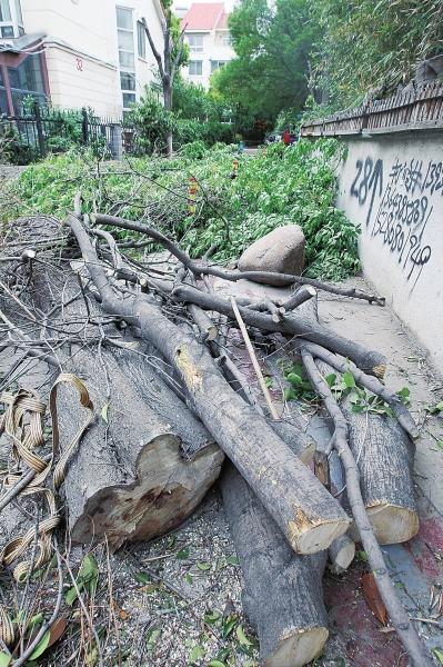 【房产-文字列表】郑州一别墅小区 物业无证砍树被拦下