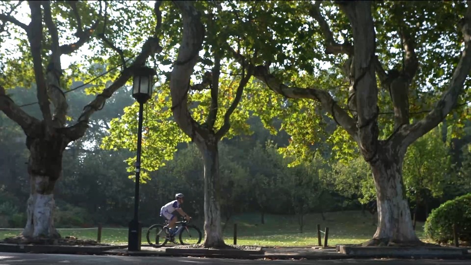 链博会小词典 丨环绕一生的健康生活链