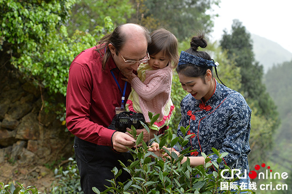 图片默认标题_fororder_国际友人在参观采茶现场