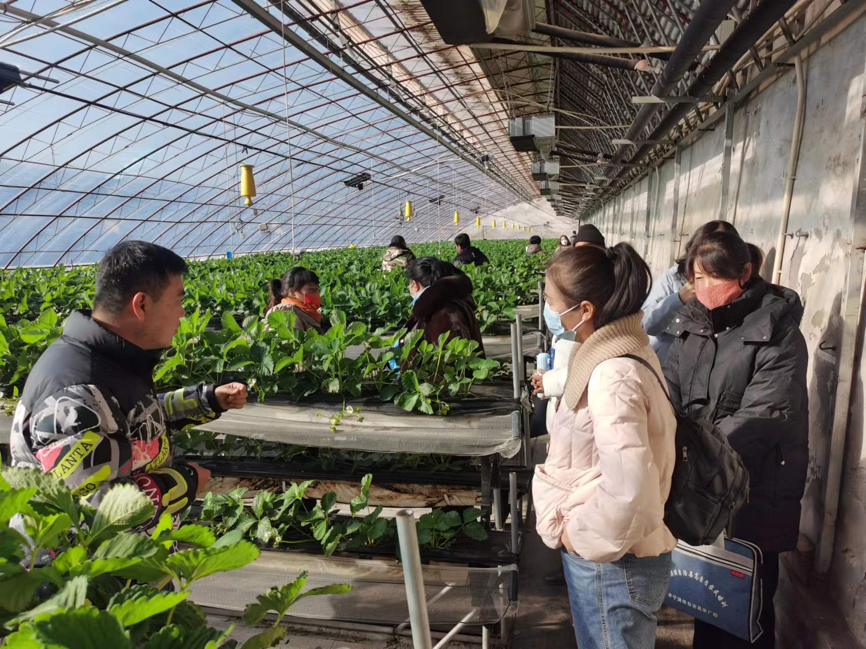 河北丰宁:农民冬闲“充电”忙_fororder_学员赴北京昌平参观农业专业合作社 拍摄孙乃利