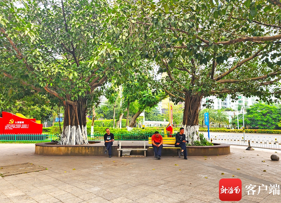 海口这些“口袋公园”你去过吗?_fororder_00322958960_ad5a9fad