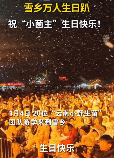 一起追更!哈尔滨开启“宠娃模式”,小砂糖橘之后他们也来了