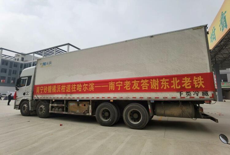 一起追更!哈尔滨开启“宠娃模式”,小砂糖橘之后他们也来了
