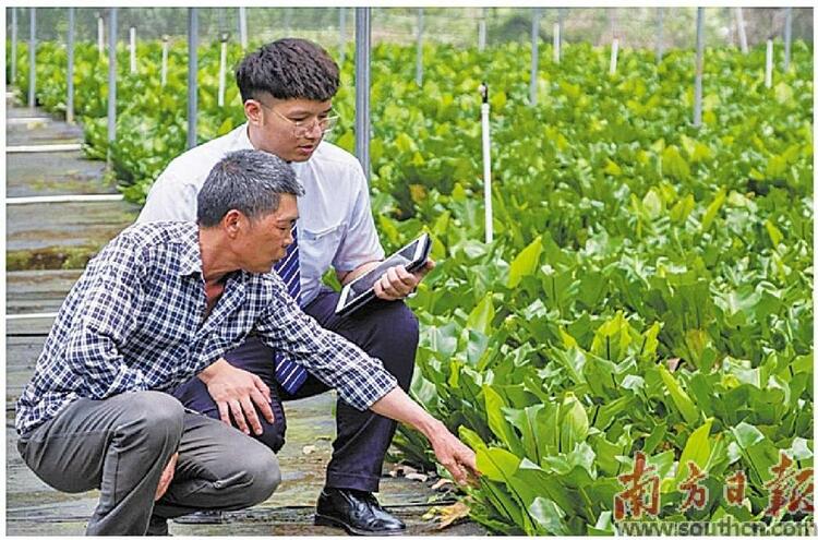 把网点服务窗口搬到农民家门口  去年前三季度广东县域保险保障金额同比增长81.13%、县域贷款余额达1.48万亿元