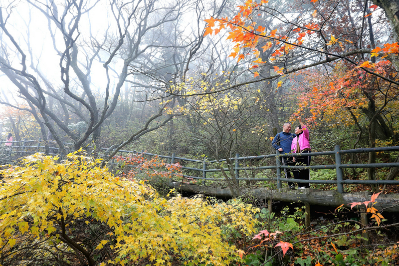 【河南原创】平顶山市金秋旅游产品发布会暨第九届醉美尧山红叶节开幕