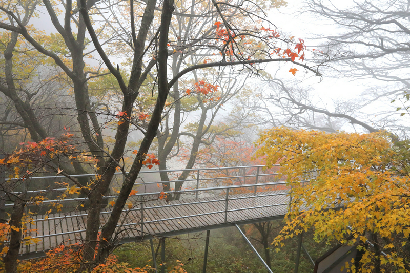 【河南原创】平顶山市金秋旅游产品发布会暨第九届醉美尧山红叶节开幕
