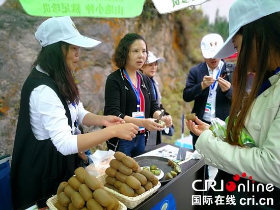 第五届贵阳（修文）猕猴桃节暨修文县第二届乡村旅游发展大会举行