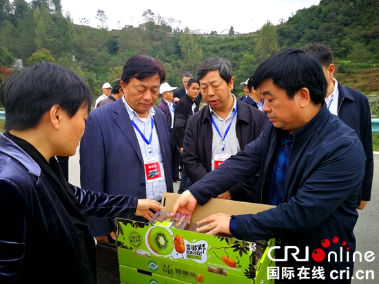 第五届贵阳（修文）猕猴桃节暨修文县第二届乡村旅游发展大会举行