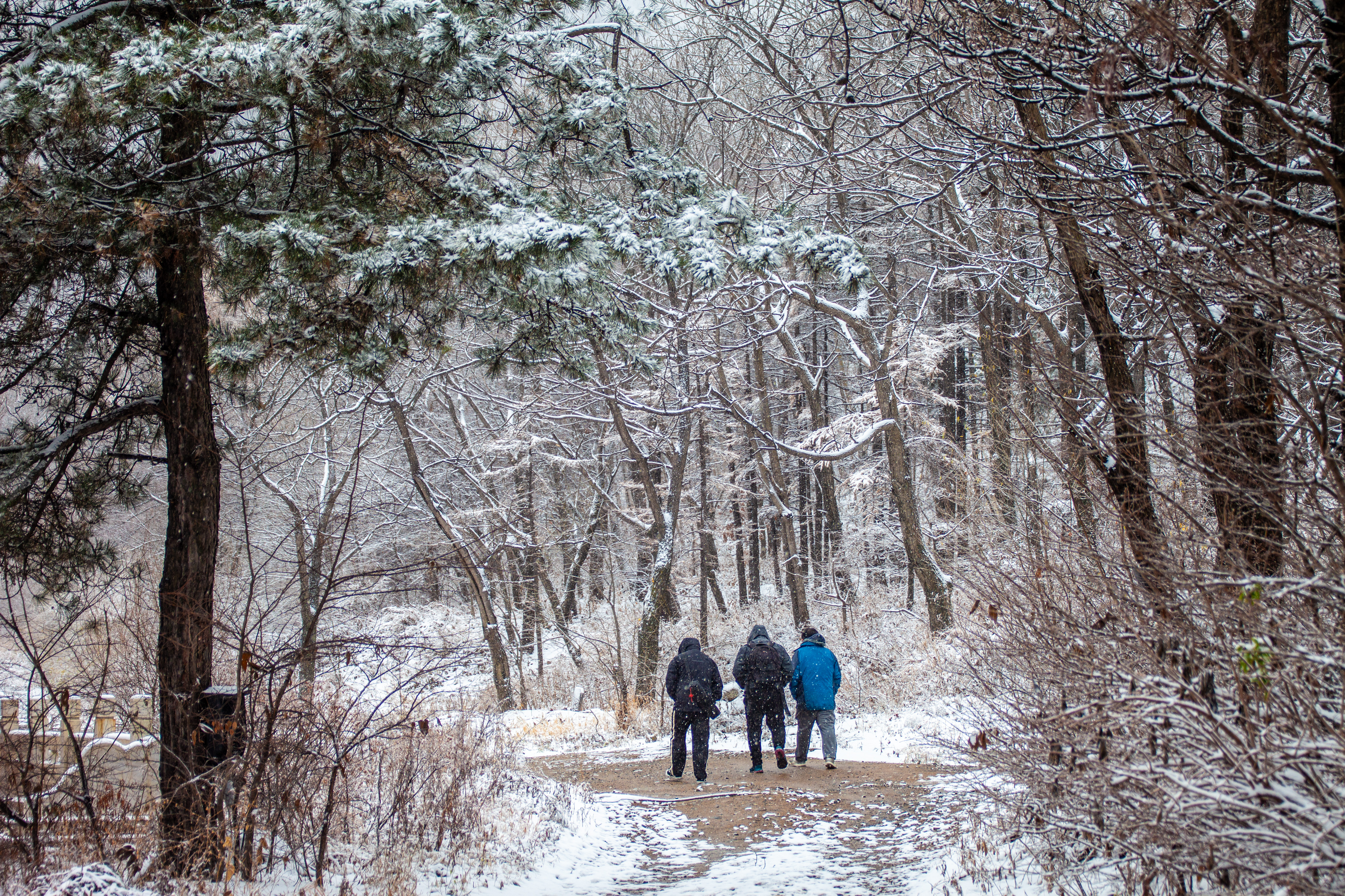 “尔滨”去不了? 河北的冰雪嗨游别错过!