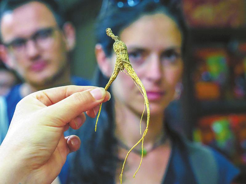 （焦点图，导航成都）“洋大夫”成都学中医 沿“一带一路”传播中医文化