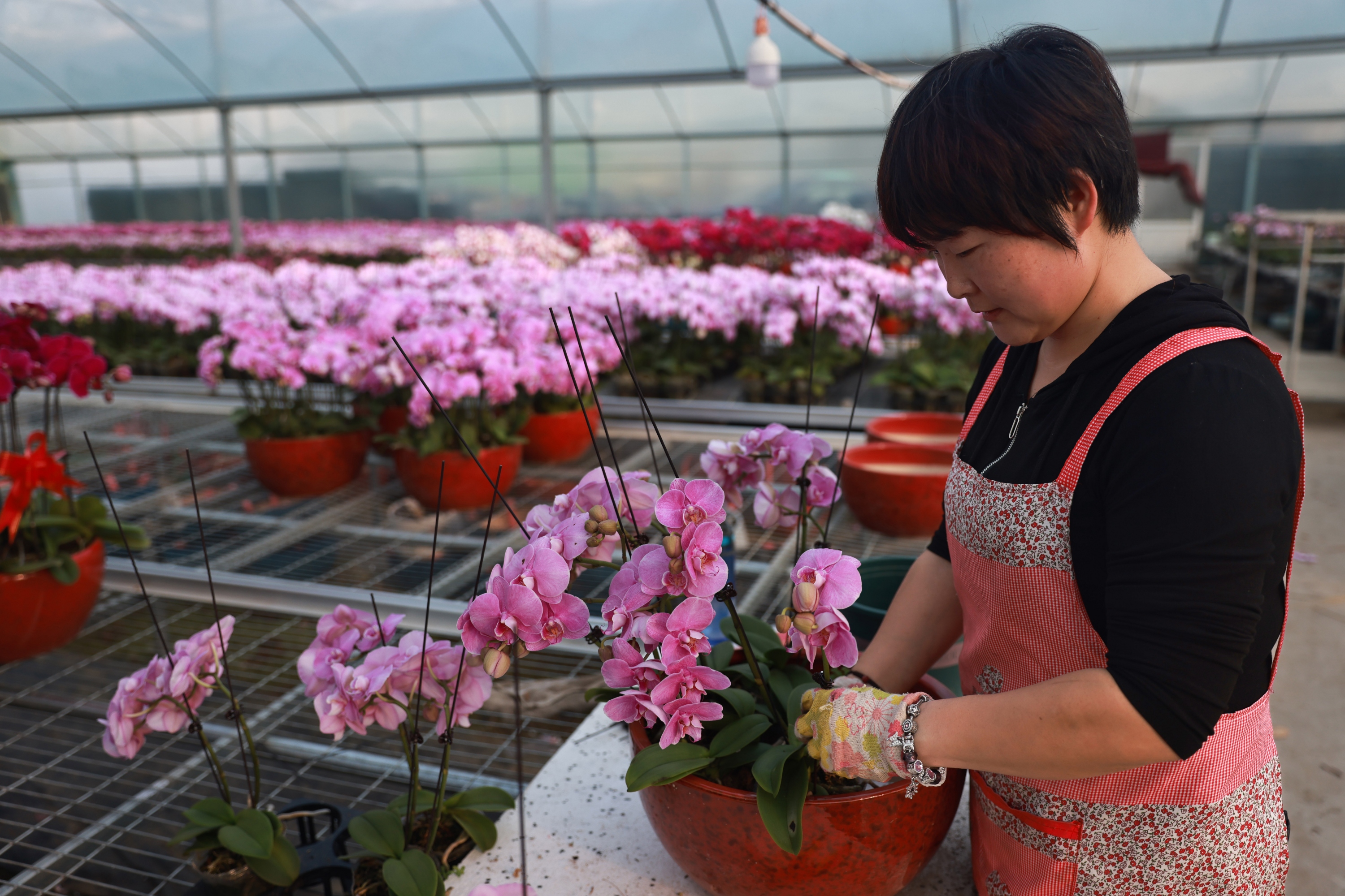 图片默认标题_fororder_003