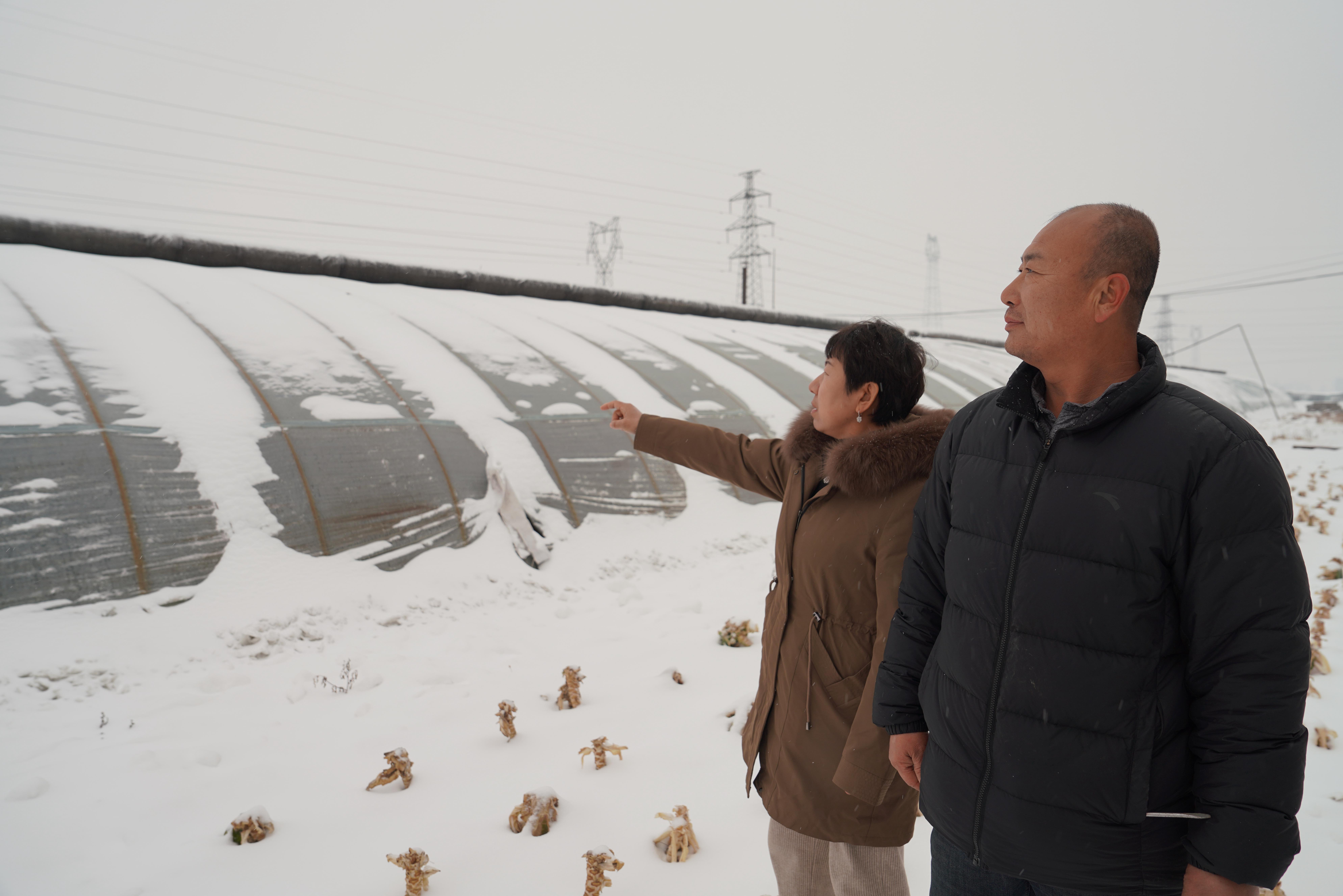 图片默认标题_fororder_农技人员指导种植户在光照好的时候,要将保温被打开。摄影 王磊