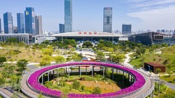 深圳：繁荣消费促升级 且看龙华谱新篇