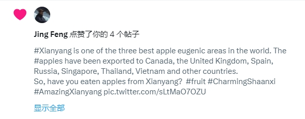 【陕耀国际·32期】咸阳打造“AmazingXianyang”外宣账号:让世界认识咸阳、关注咸阳、爱上咸阳_fororder_图片9