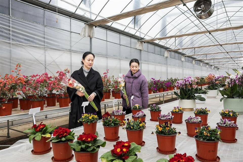 湖北省农科院向公众开放花卉科研基地