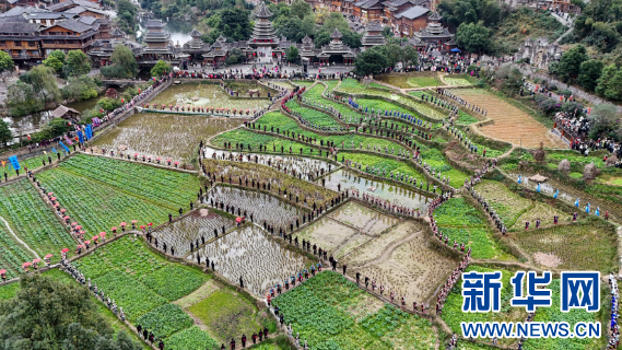 侗年IP:与文化自觉契合 与产业化发展同行