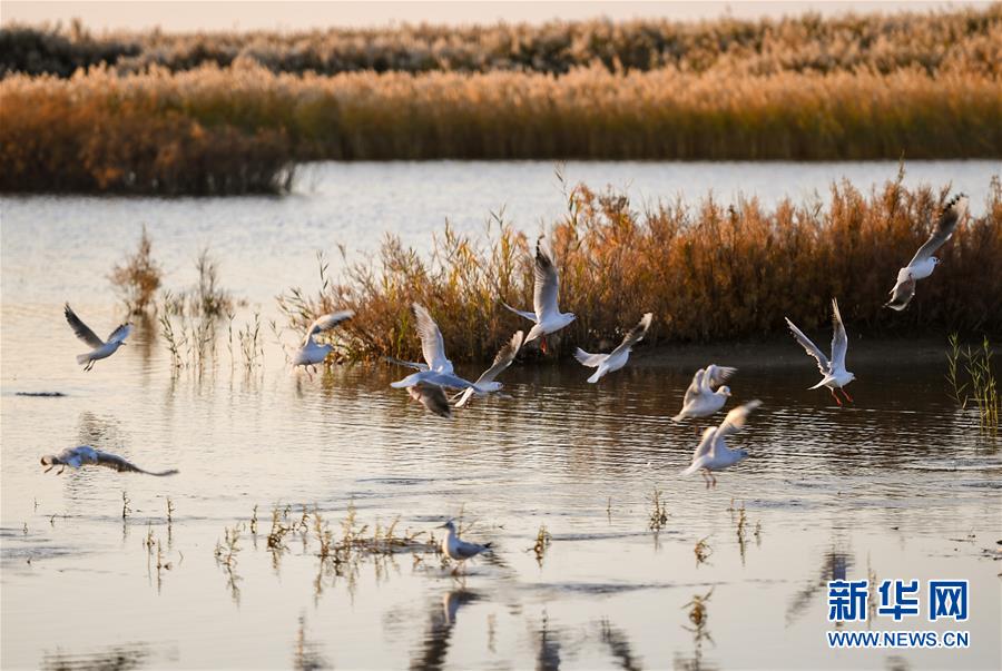 图片默认标题_fororder_photo3-1