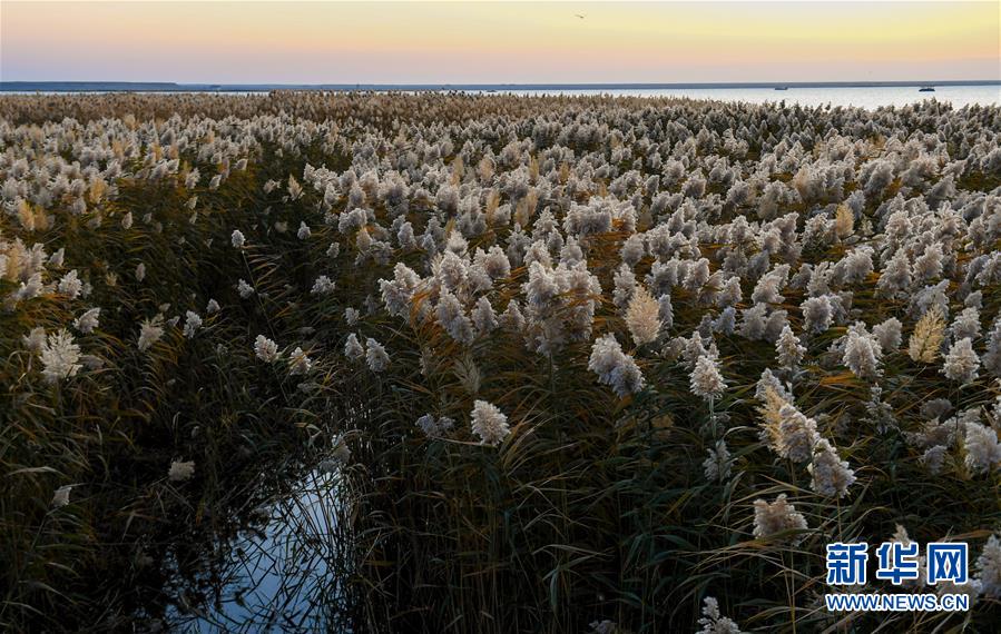 图片默认标题_fororder_photo3-7