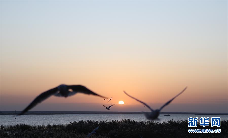 图片默认标题_fororder_photo3-8