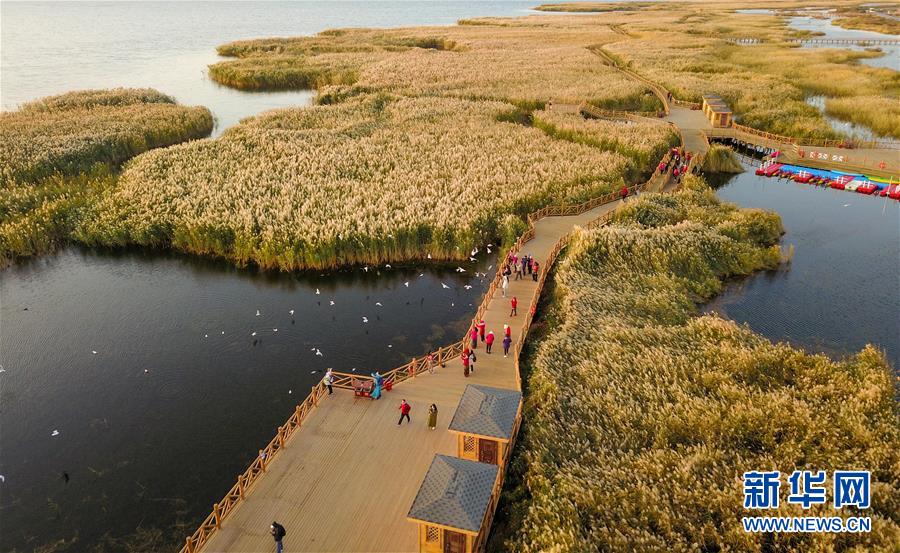 图片默认标题_fororder_photo3-4