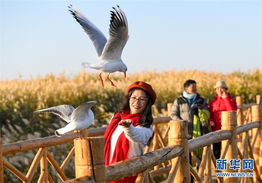 图片默认标题_fororder_photo3-10