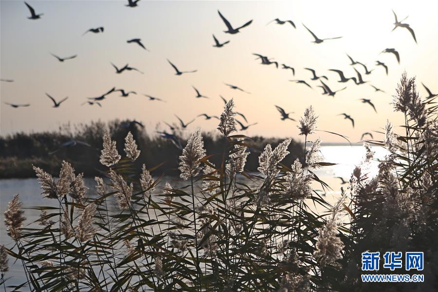 图片默认标题_fororder_photo3-9