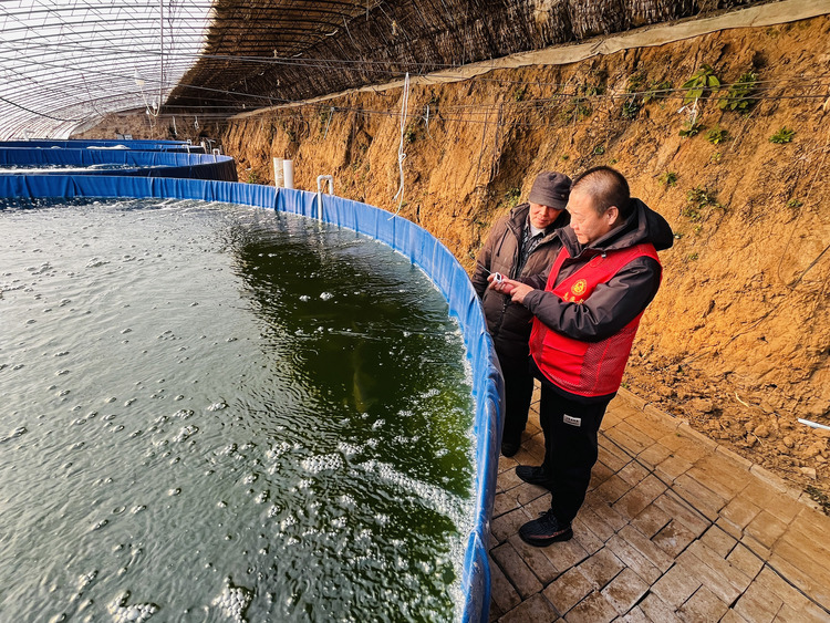 图片默认标题_fororder_图为农技人员指导水产养殖户做好鱼池温度监测工作。（李金璐 摄）.JPG